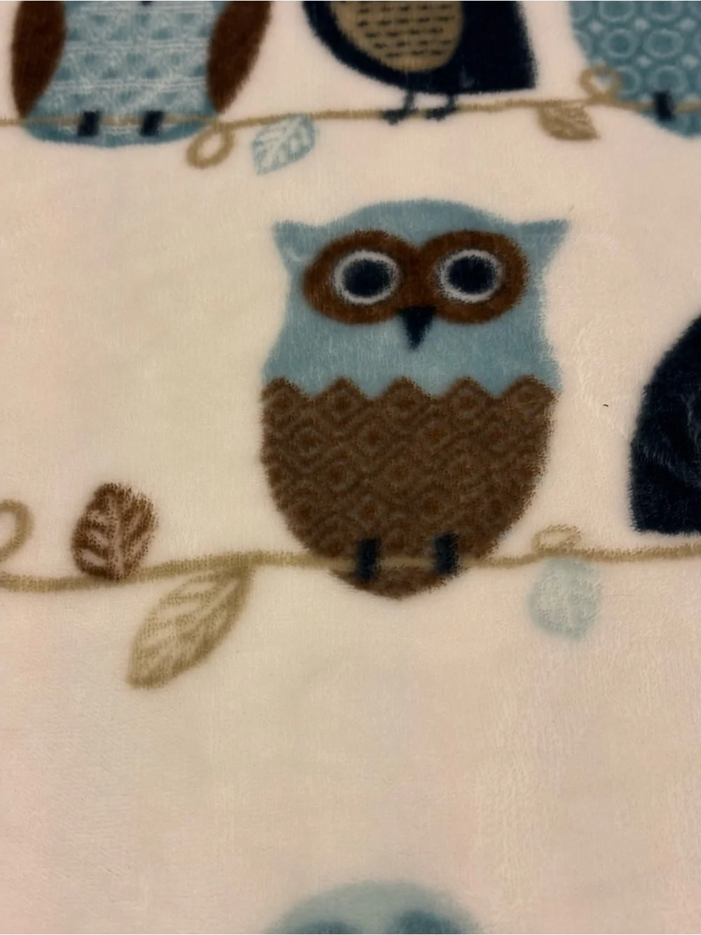 Domain Fleece Blanket Hoot Owls Queen Size Blue Brown Tan Cozy Thick Soft